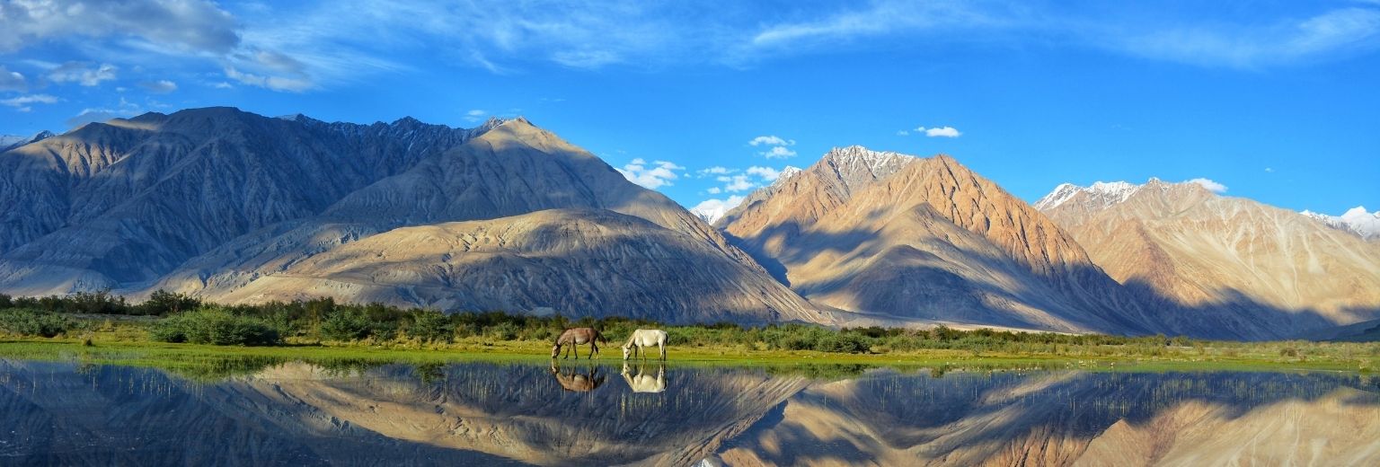 Going to Leh? Here’s what to do and where to eat