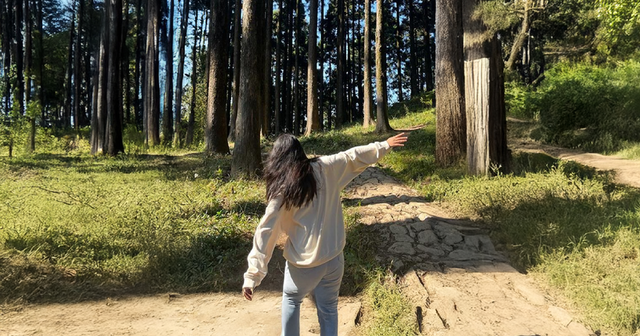 No Plus One? No Problem! Solo Trip Destinations for Valentine’s | goCITY