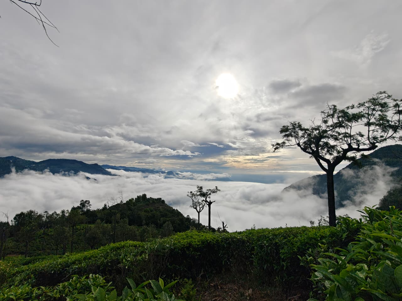 things to do in Ooty