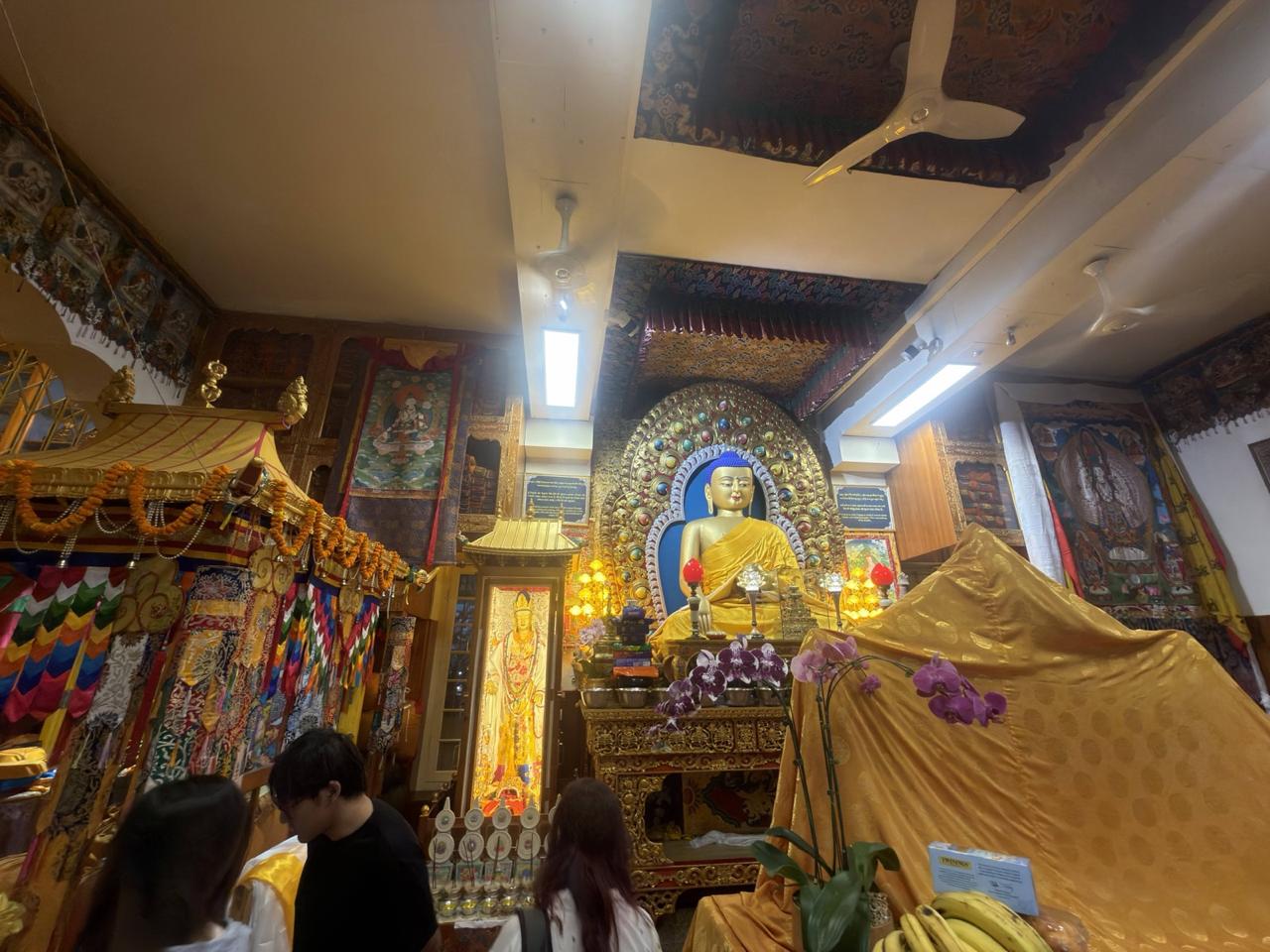things to do in Mcleodganj