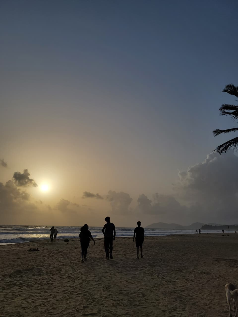 things to do in goa