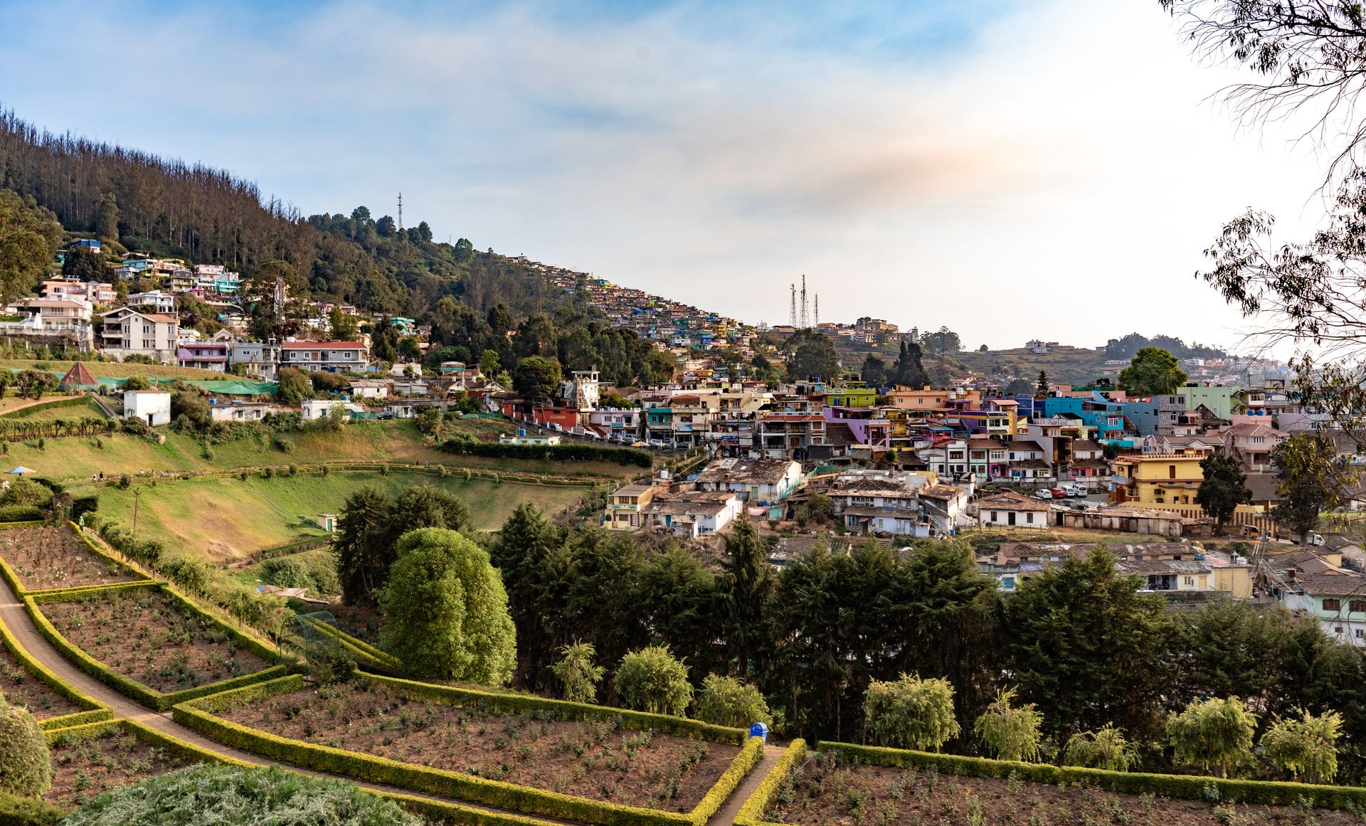 Ooty in winter